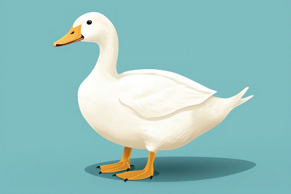 Duck animal goose white. AI generated Image by rawpixel.