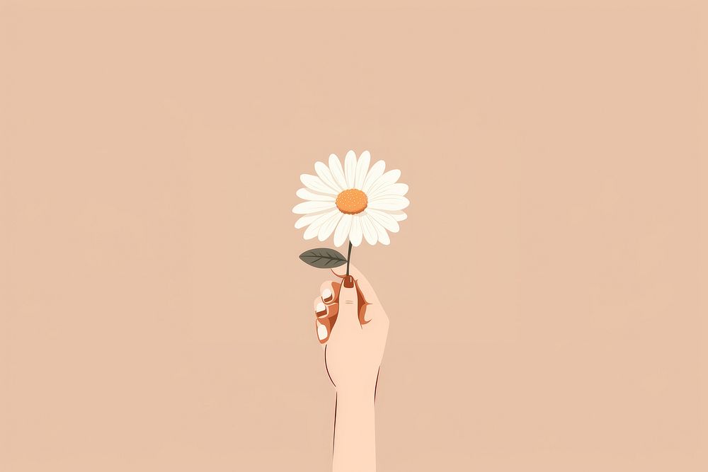 Flower daisy hand holding. AI generated Image by rawpixel.
