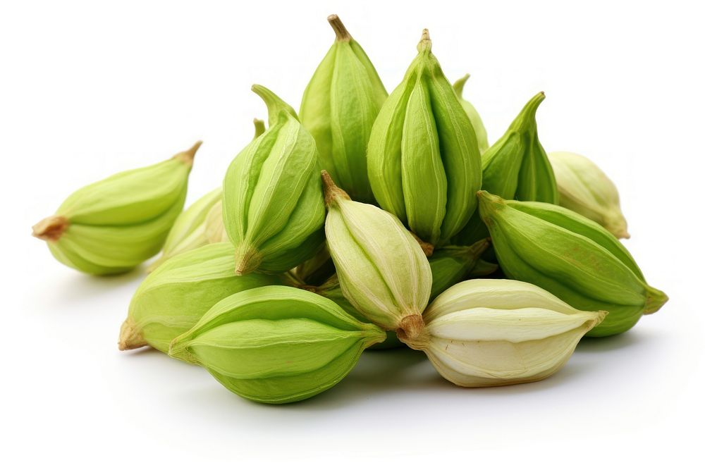 Cardamom plant food white background. AI generated Image by rawpixel.