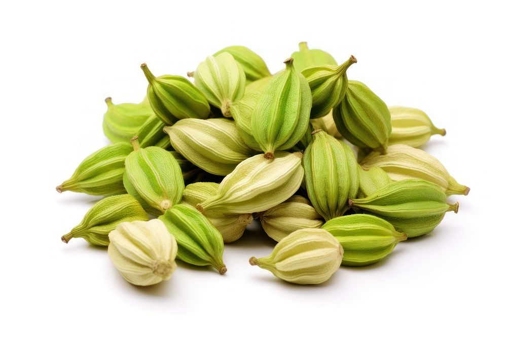 Cardamom pods food white background ingredient. AI generated Image by rawpixel.