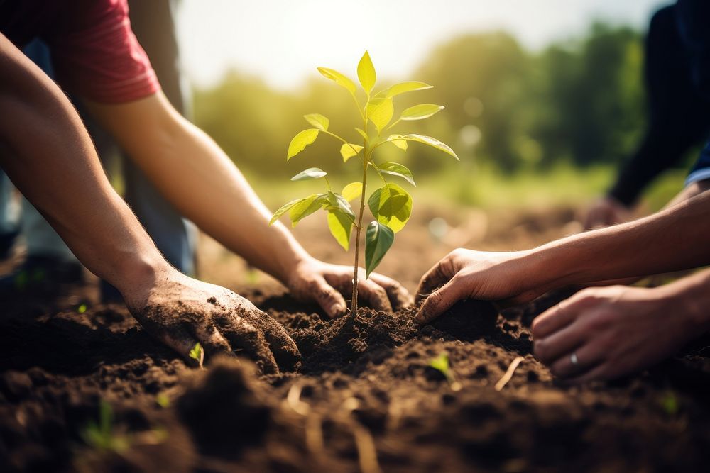Planting gardening outdoors nature. AI generated Image by rawpixel.