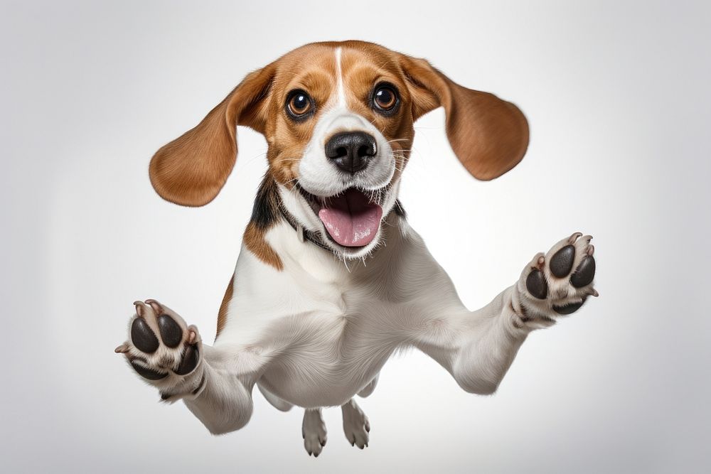 Beagle dog animal mammal. AI generated Image by rawpixel.