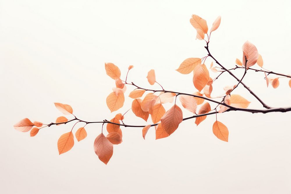 Tree branch autumn plant. AI generated Image by rawpixel.