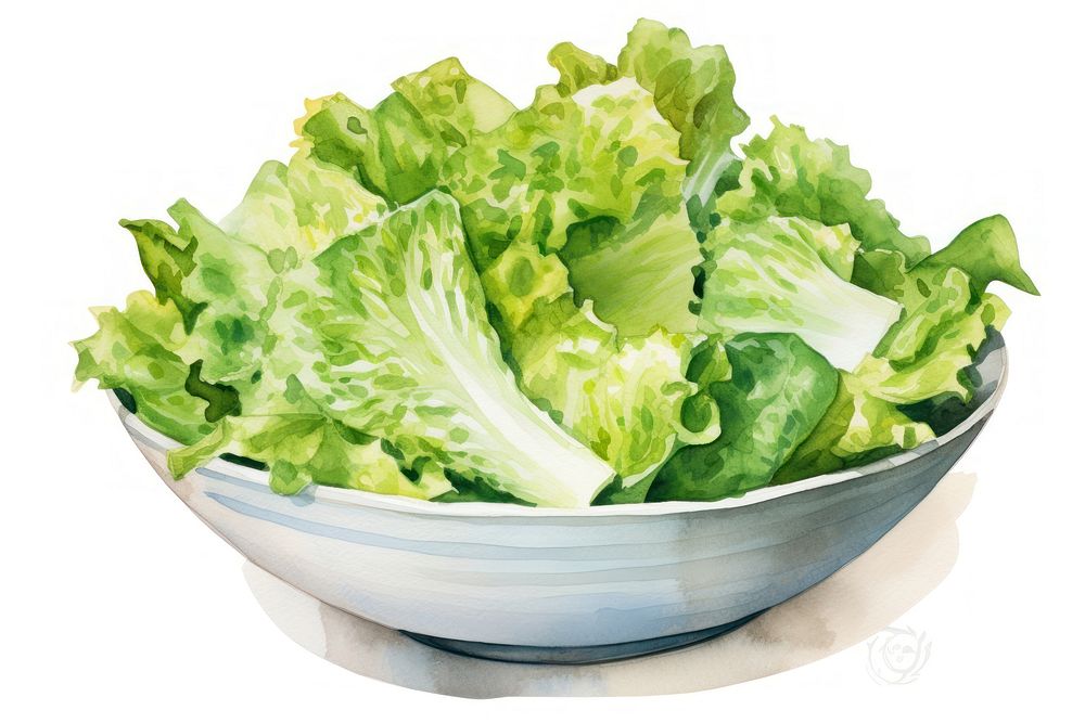 Vegetable lettuce salad plate. AI generated Image by rawpixel.