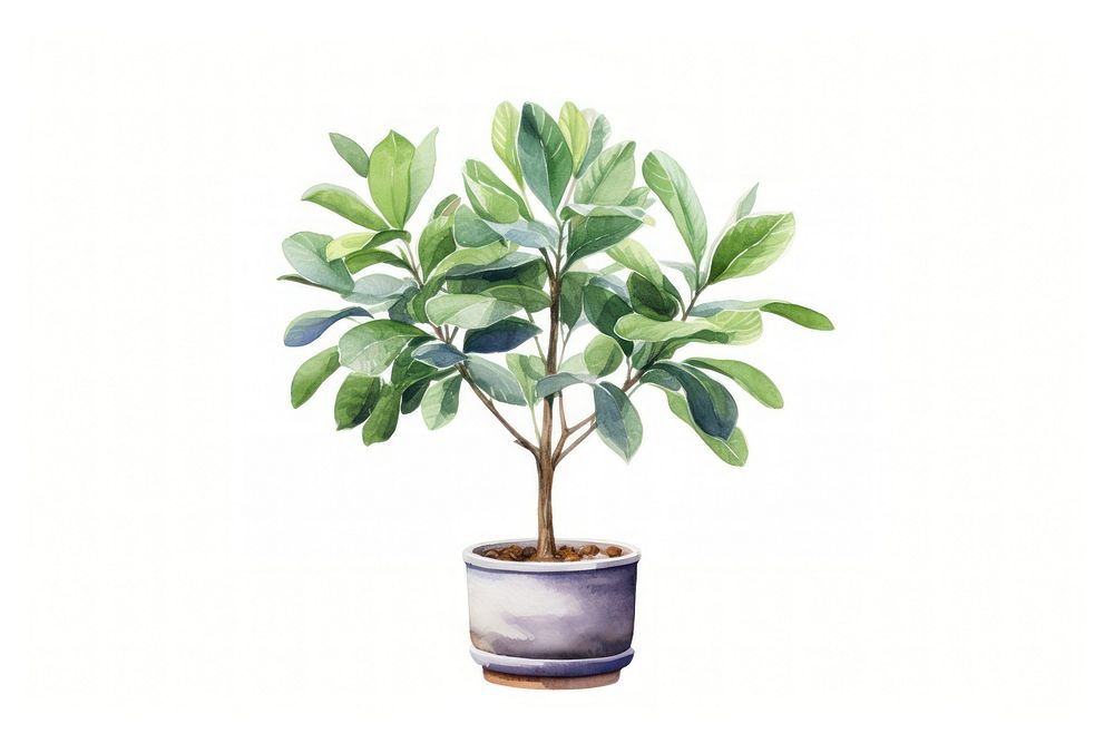 Plant tree bonsai leaf. AI generated Image by rawpixel.