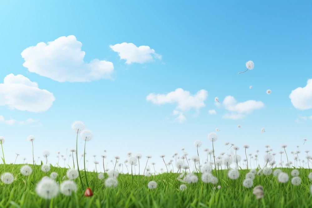 Landscape backgrounds dandelion outdoors. 