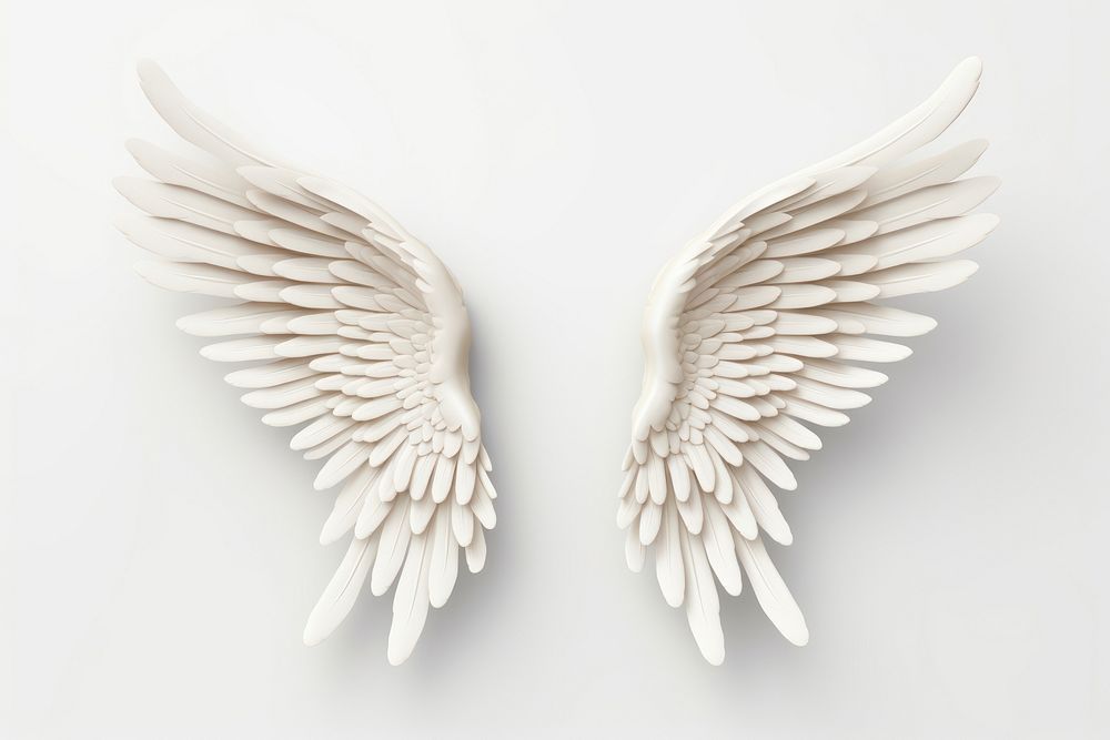 Angel white wing art. 