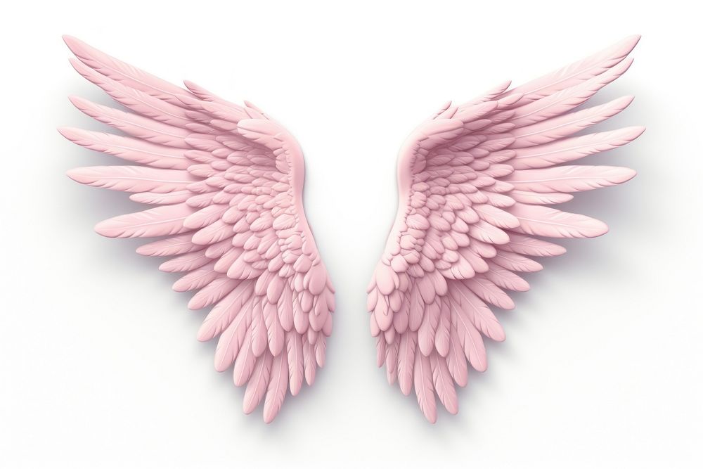 Angel wings pink bird white background. AI generated Image by rawpixel.
