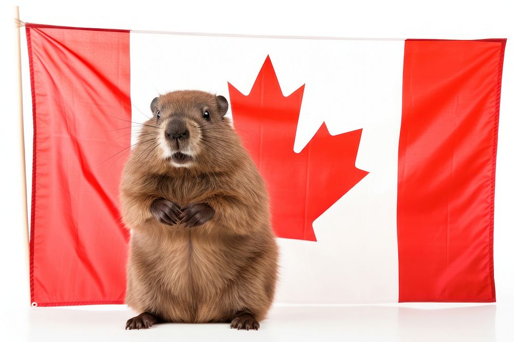 Flag mammal animal white background. AI generated Image by rawpixel.