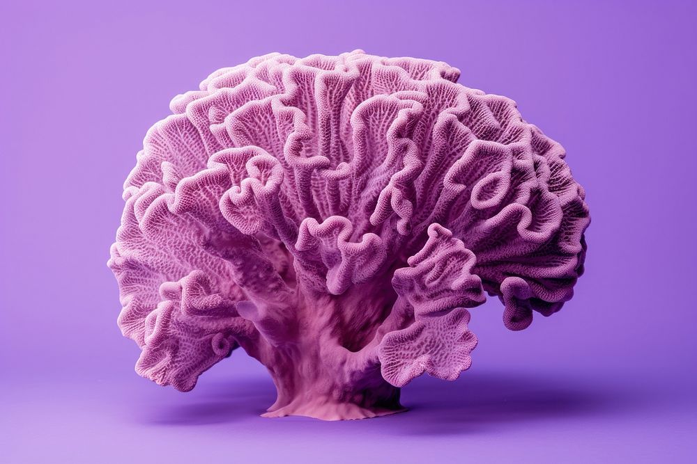 Purple marine nature brain. 