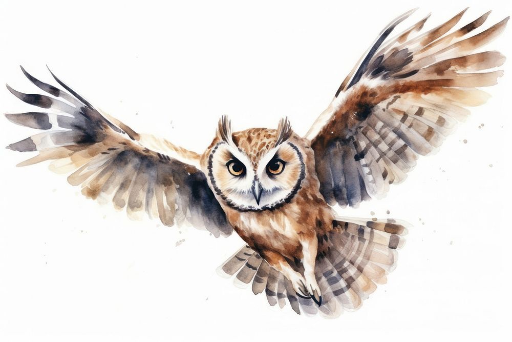 Owl cartoon animal flying. AI generated Image by rawpixel.