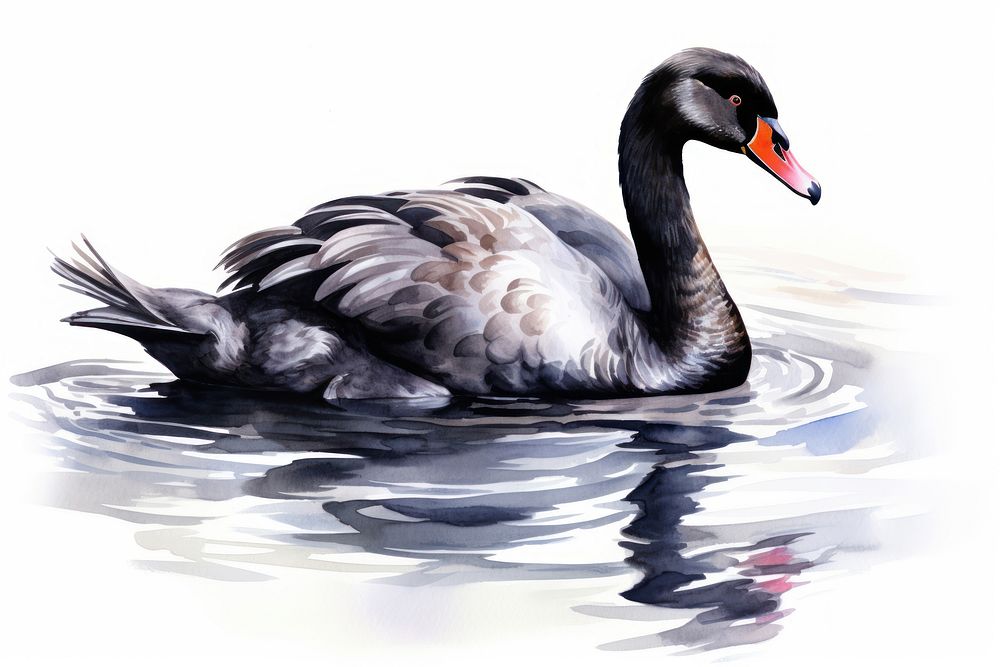 Swan outdoors animal nature. AI generated Image by rawpixel.