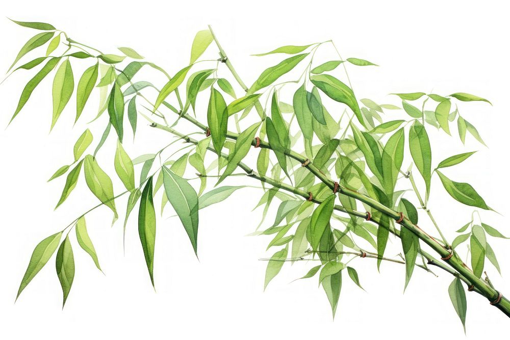 Bamboo tree plant green. AI generated Image by rawpixel.