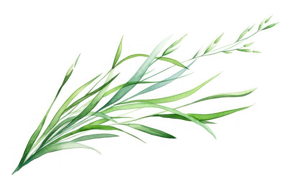 Grass plant herbs art. AI generated Image by rawpixel.