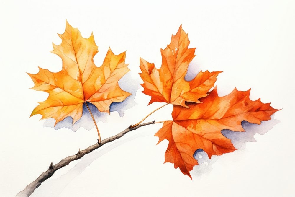 Maple plant leaf tree. AI generated Image by rawpixel.