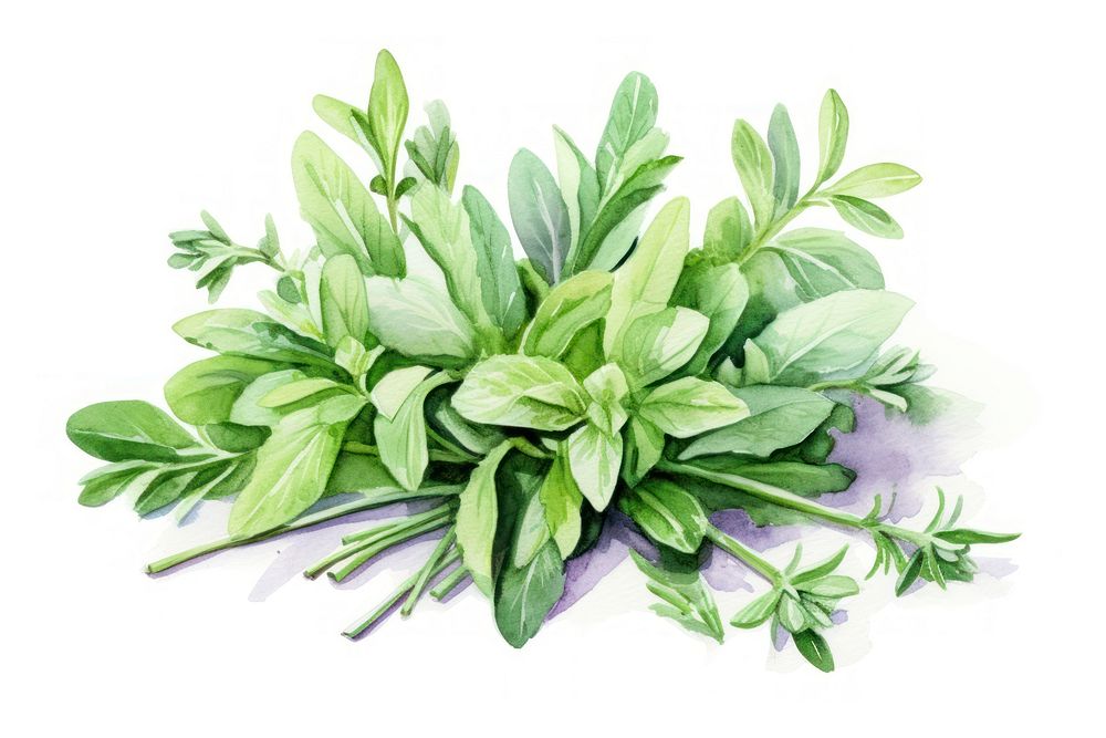 Herbs vegetable plant leaf. AI generated Image by rawpixel.