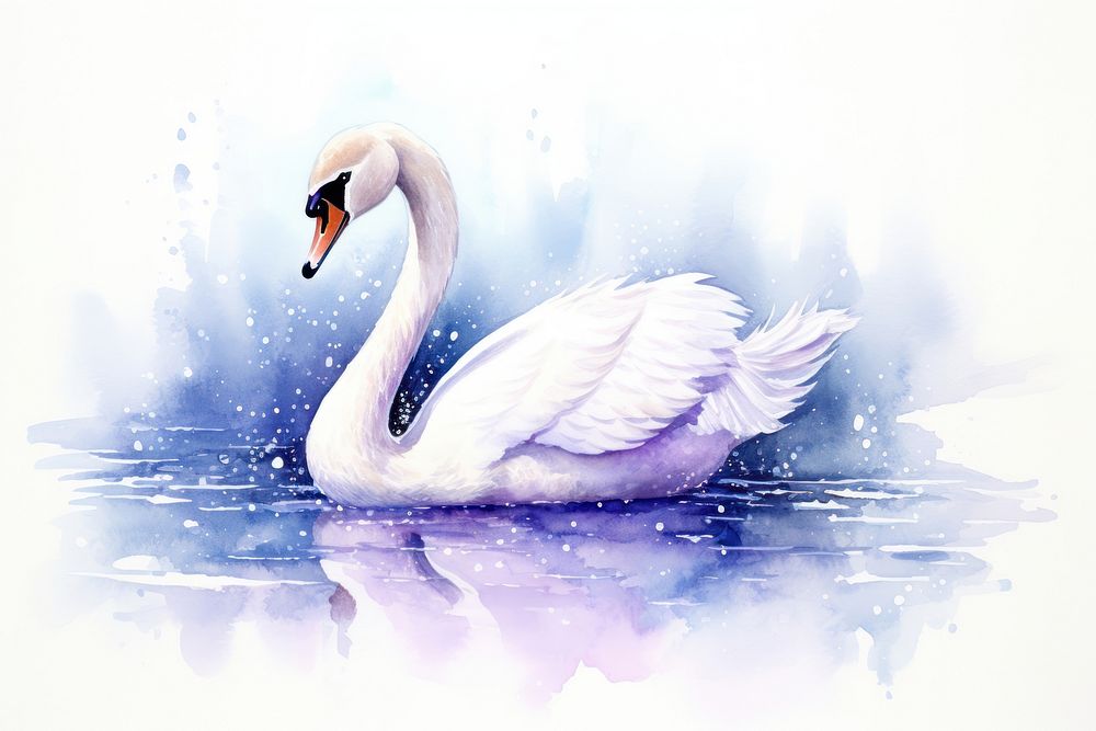 Swan animal white bird. 