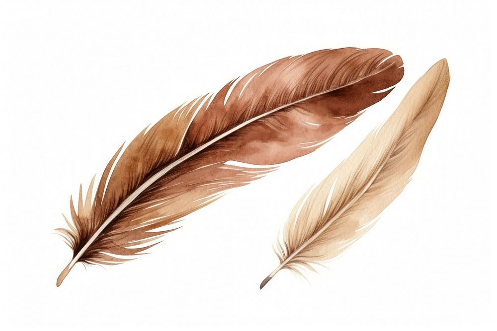 Feather brown bird leaf. AI generated Image by rawpixel.