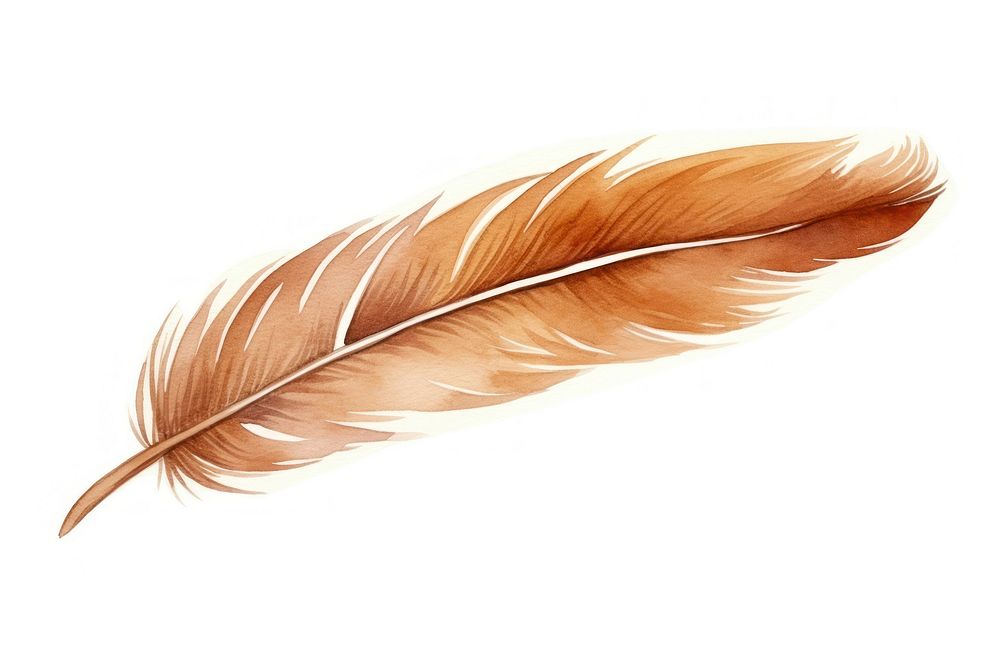 Feather brown bird lightweight. AI generated Image by rawpixel.