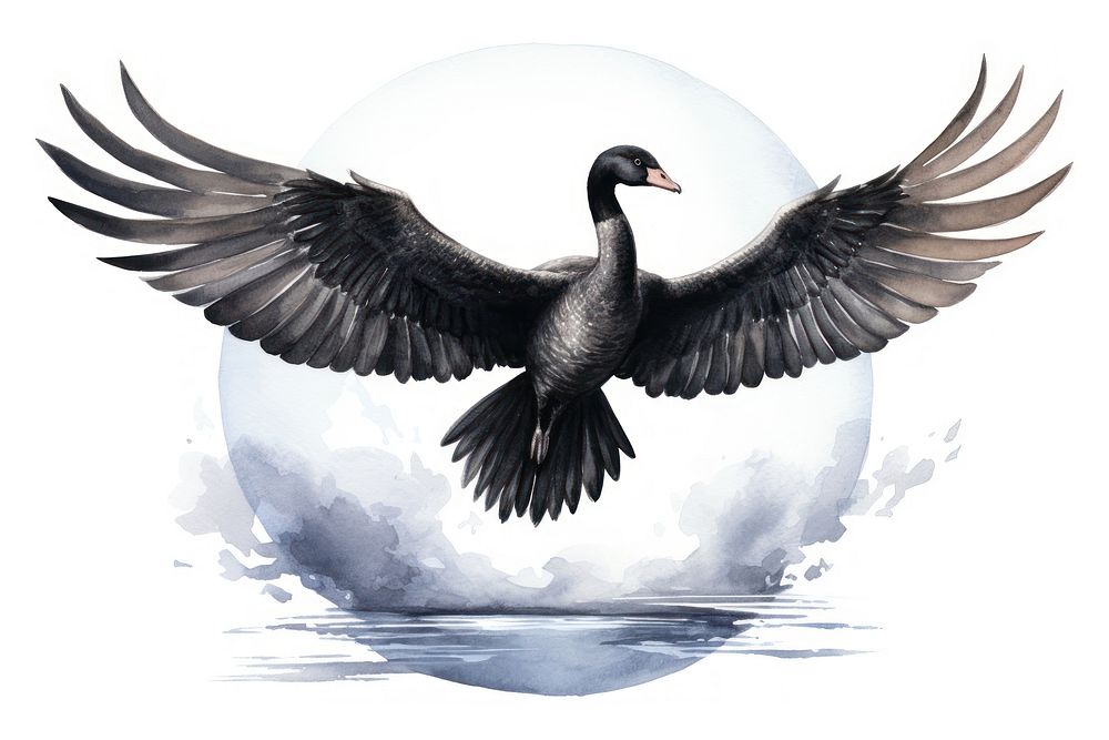 Swan cormorant animal goose. AI generated Image by rawpixel.