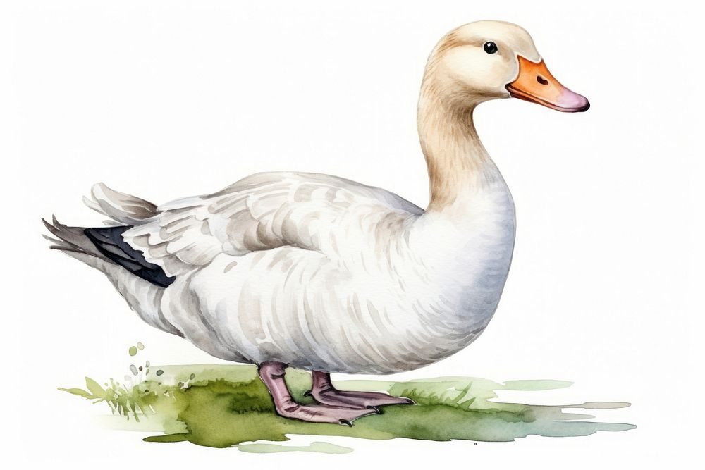 Goose cartoon animal white. AI generated Image by rawpixel.