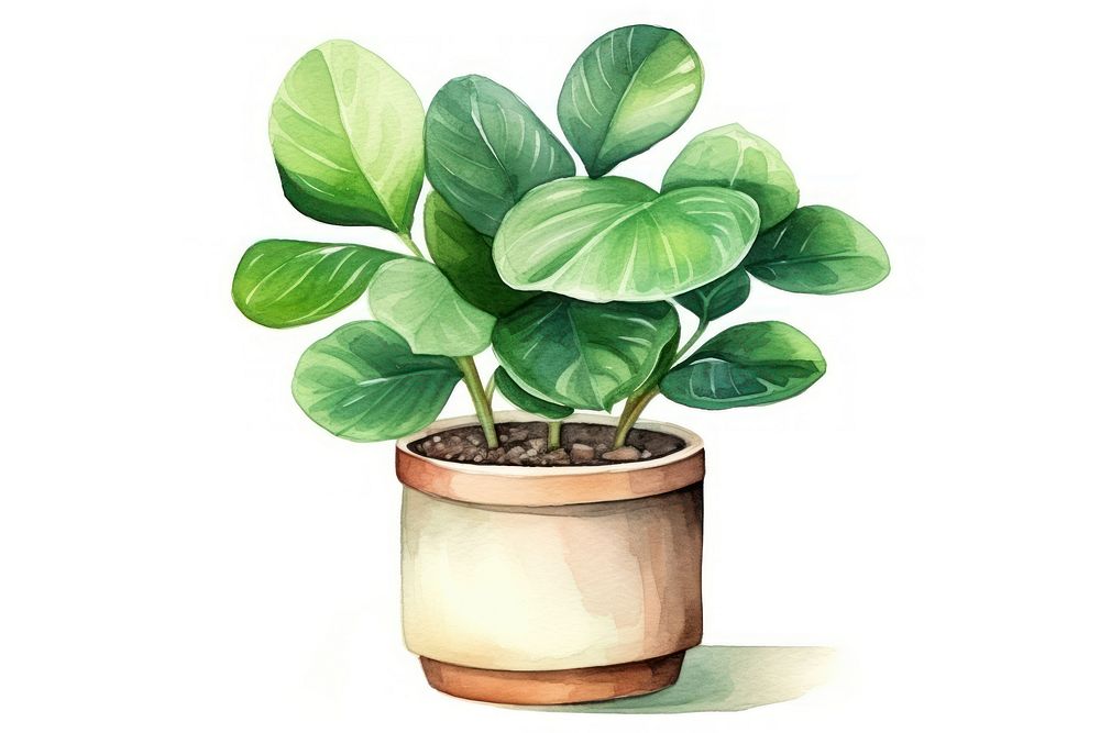 Plant cartoon leaf white background. AI generated Image by rawpixel.