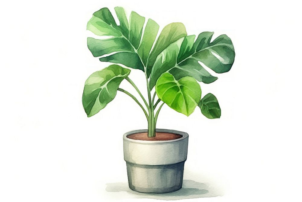 Plant leaf white background potted plant. AI generated Image by rawpixel.