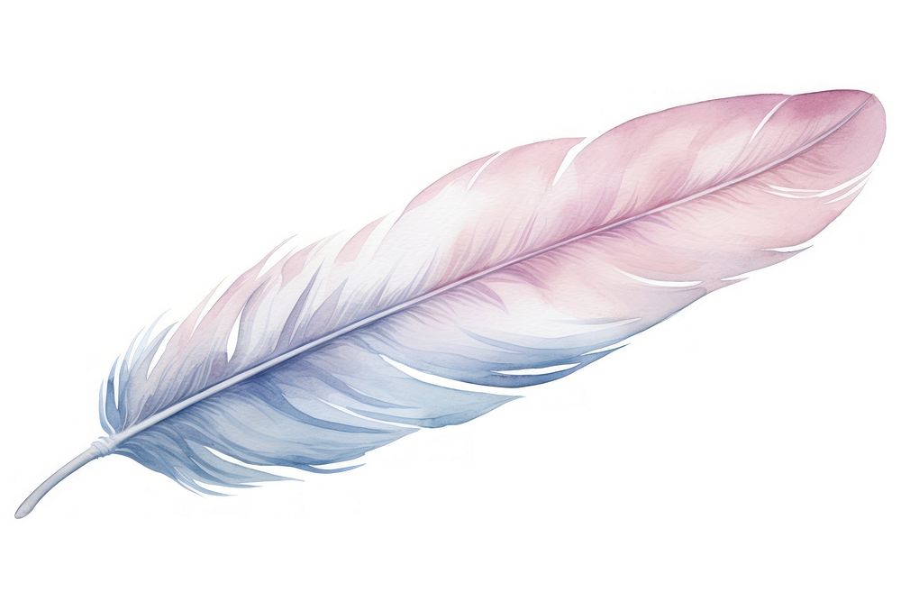 Feather lightweight fragility softness. AI generated Image by rawpixel.