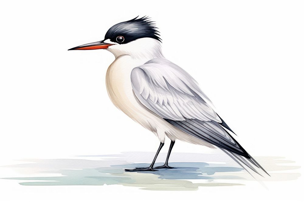 Cartoon animal white bird. AI generated Image by rawpixel.