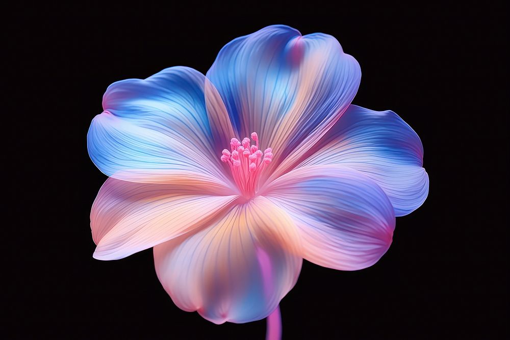 Flower petal plant inflorescence. AI generated Image by rawpixel.