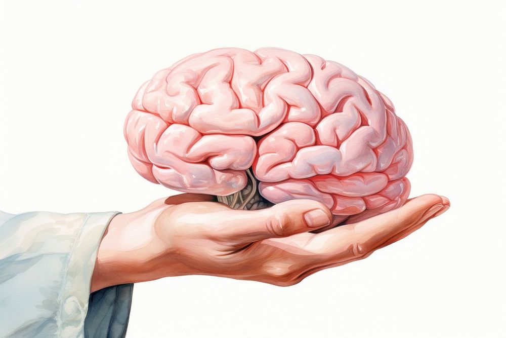 Brain hand medical person. AI generated Image by rawpixel.