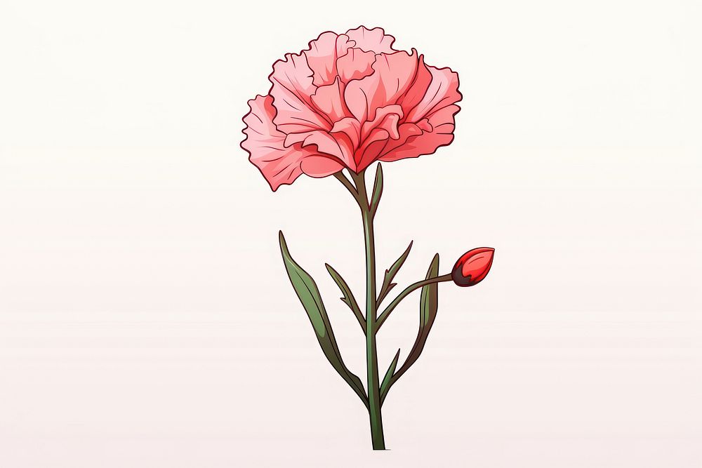 Flower carnation cartoon drawing. AI generated Image by rawpixel.