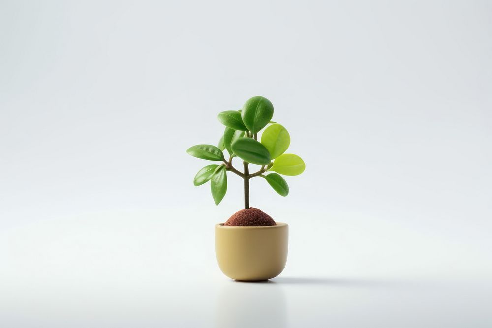 Plant leaf toy houseplant. AI generated Image by rawpixel.