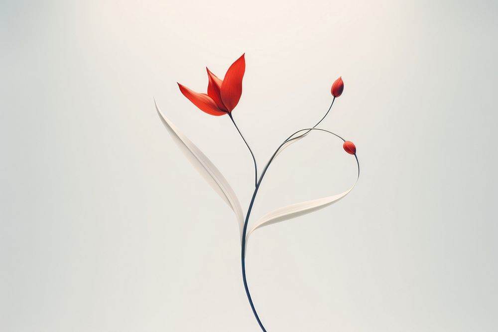 Flower petal plant leaf. AI generated Image by rawpixel.