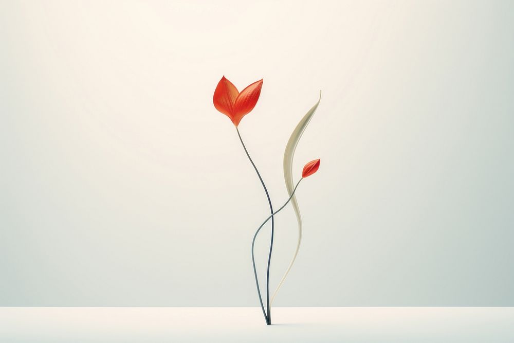 Flower petal plant fragility. AI generated Image by rawpixel.