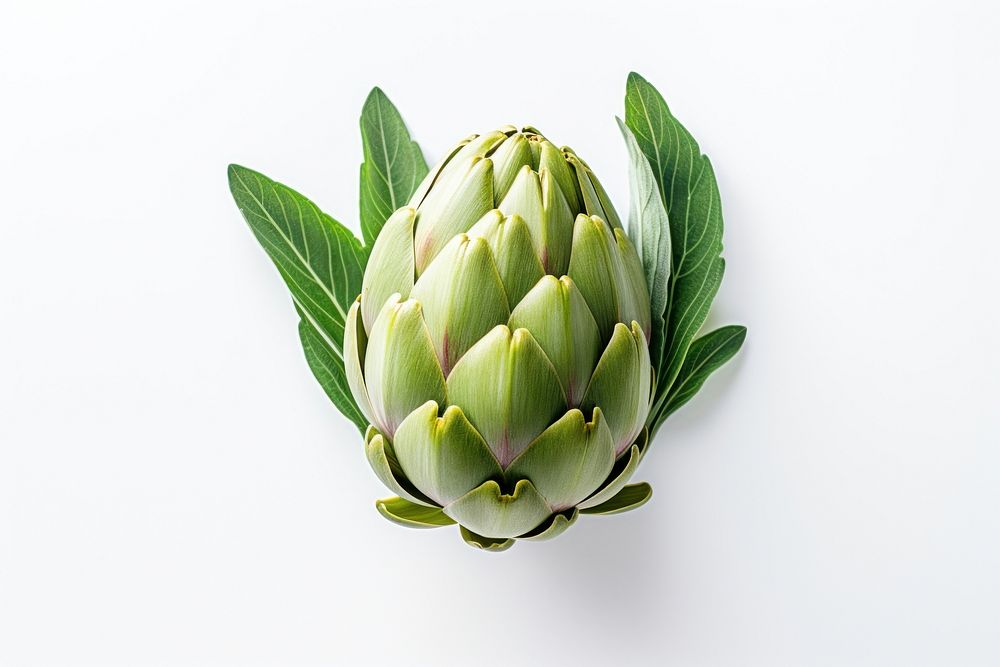 Artichoke food vegetable plant. AI generated Image by rawpixel.