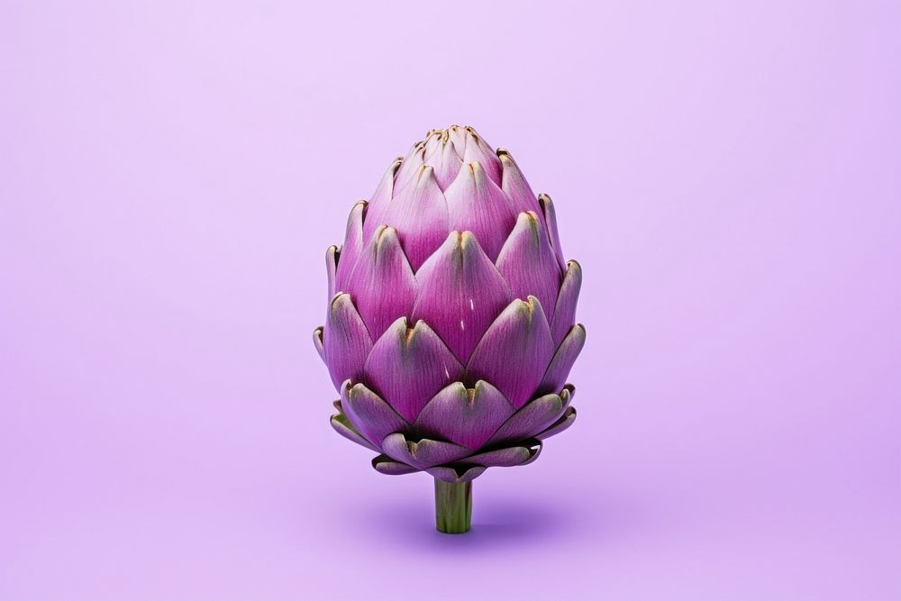 Artichoke purple plant food. AI generated Image by rawpixel.