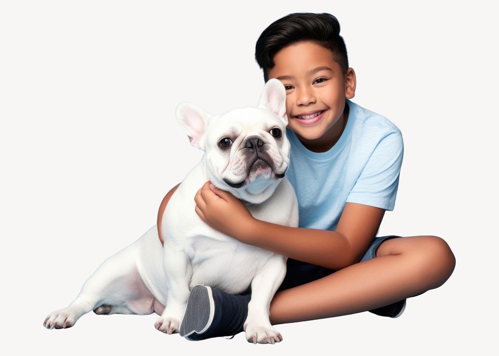 Bulldog mammal animal pet. 