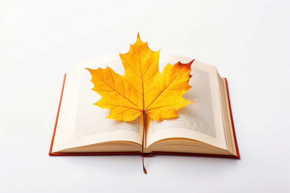 Leaf book publication autumn. AI generated Image by rawpixel.