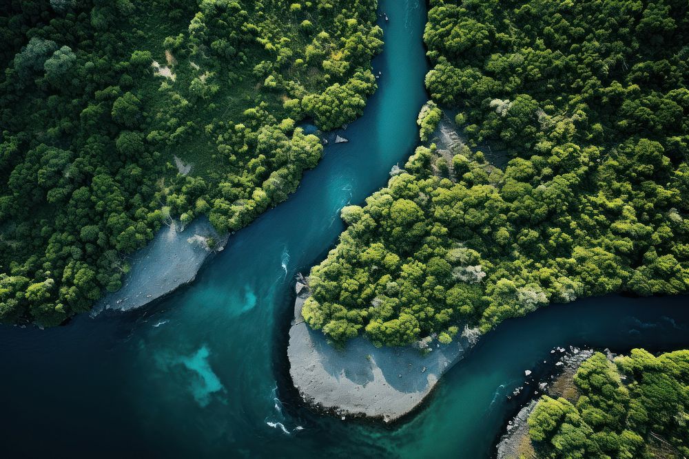 River outdoors nature forest. AI generated Image by rawpixel.