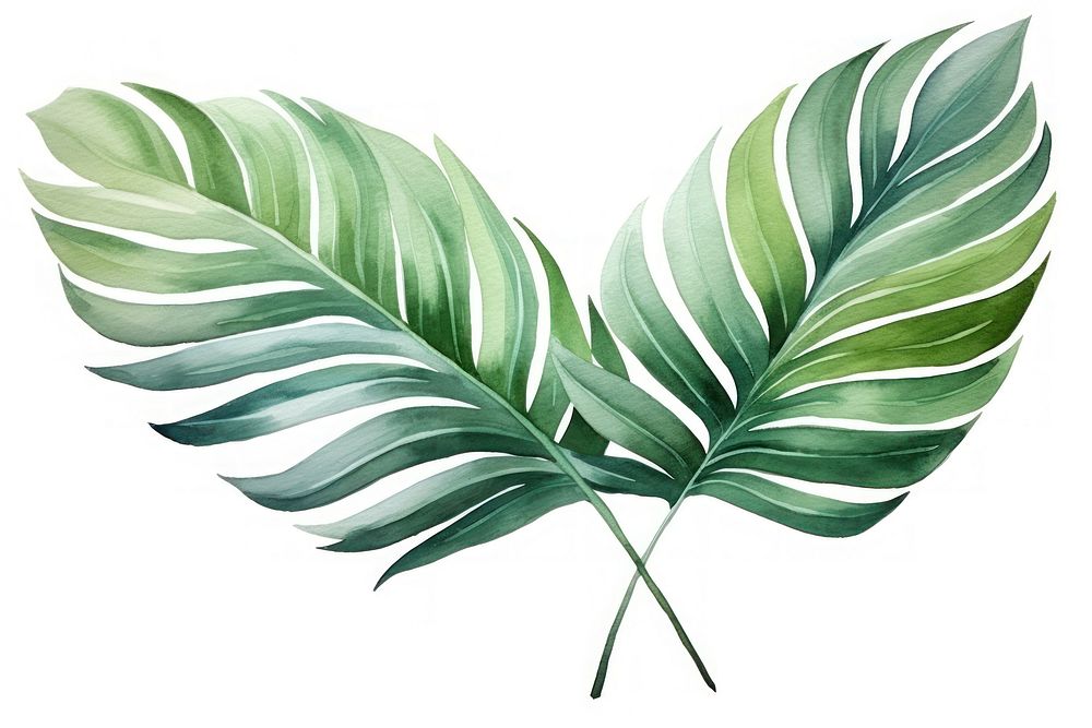 Plant leaf freshness nature. AI generated Image by rawpixel.