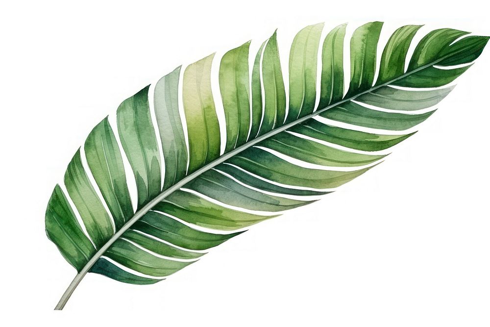 Plant leaf freshness pattern. AI generated Image by rawpixel.