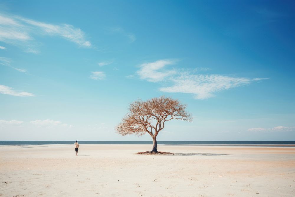 Beach outdoors vacation horizon. AI generated Image by rawpixel.