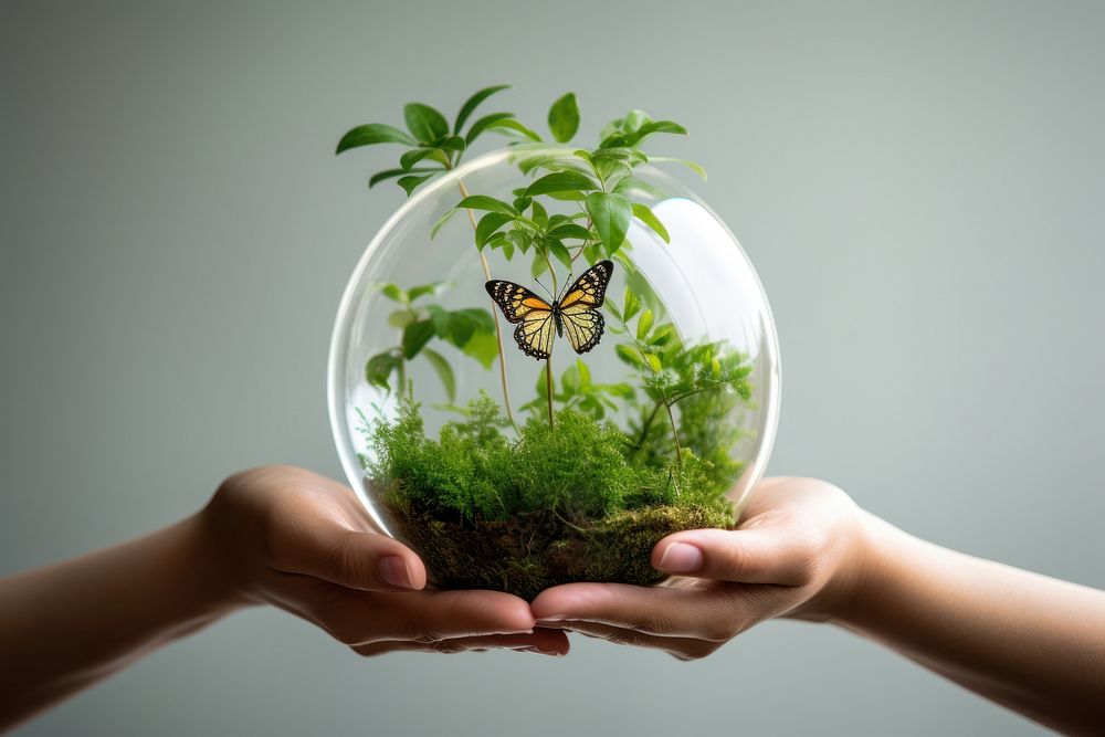 Butterfly plant holding person. AI generated Image by rawpixel.