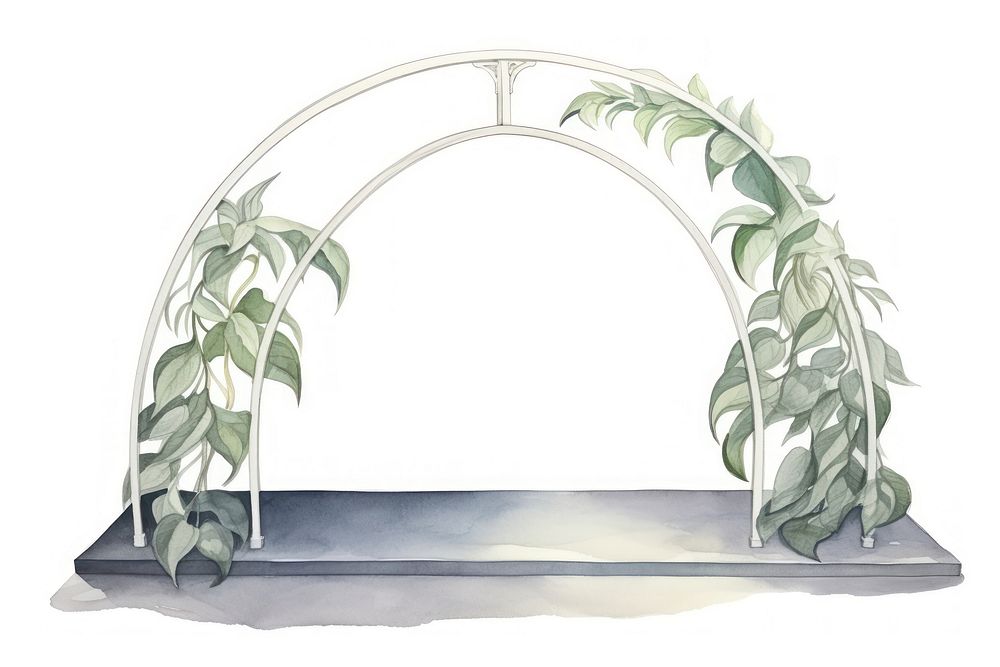 Arch plant white background architecture. AI generated Image by rawpixel.