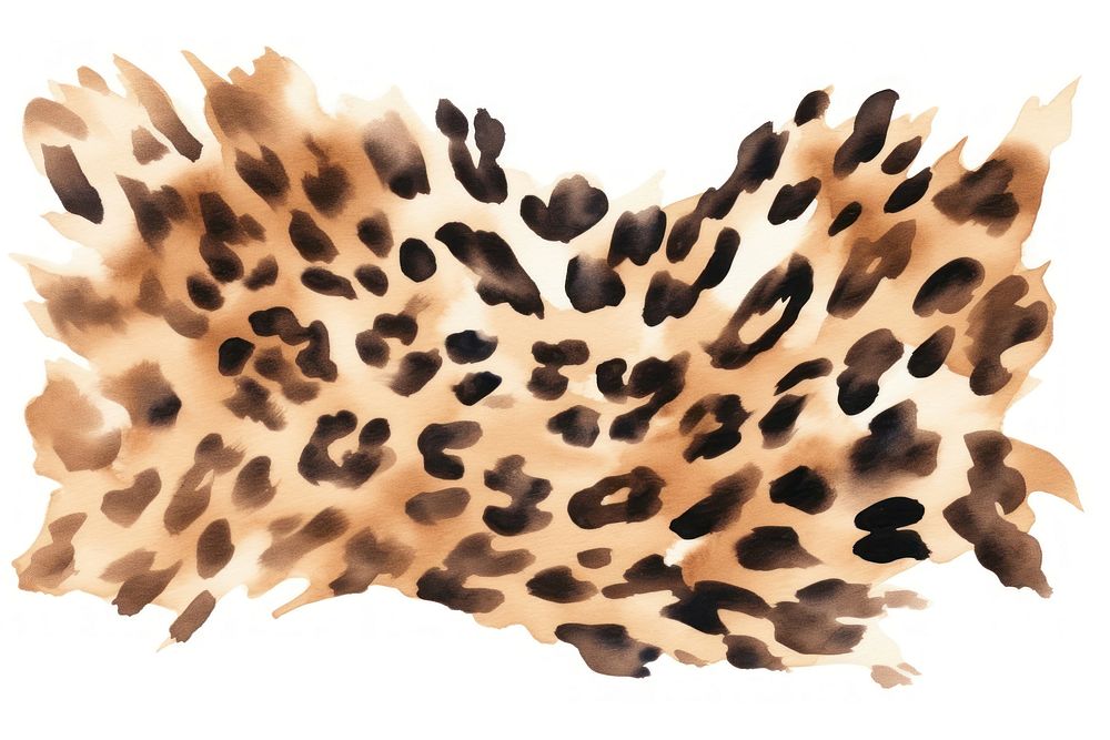 Leopard cheetah white background erinaceidae. AI generated Image by rawpixel.