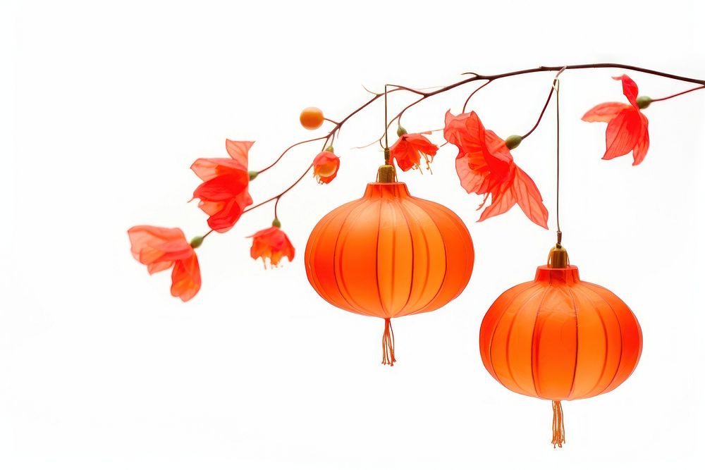 Lantern plant chinese lantern celebration. AI generated Image by rawpixel.