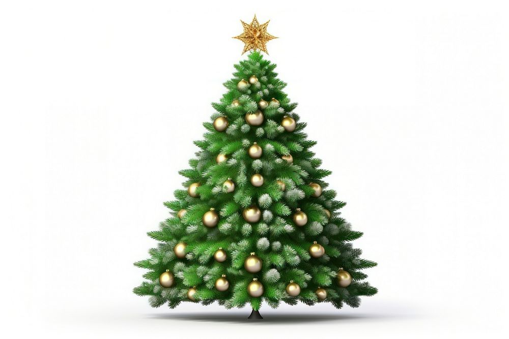 Christmas tree plant pine. AI generated Image by rawpixel.