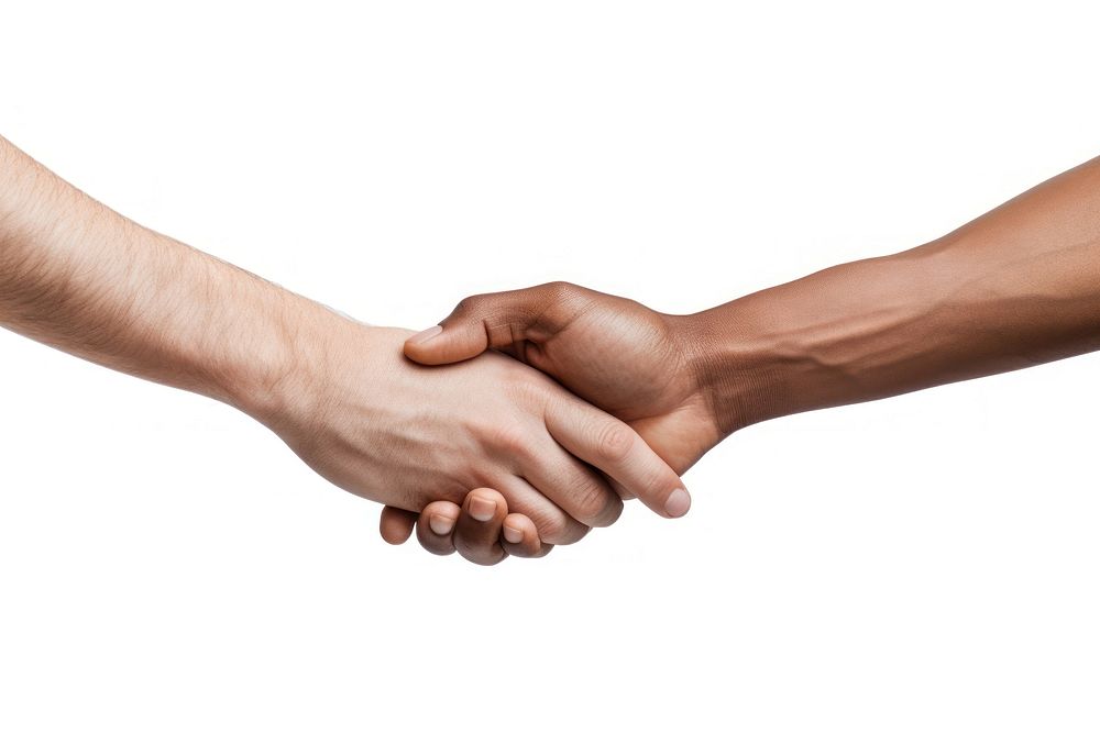 Hand handshake love holding hands. AI generated Image by rawpixel.