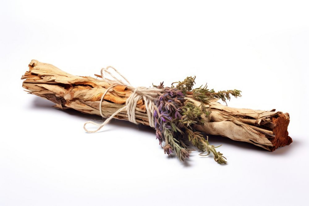 Driftwood plant herbs white background. AI generated Image by rawpixel.
